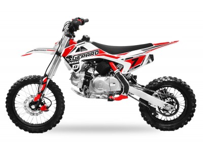 110 automatic dirt bike cheap